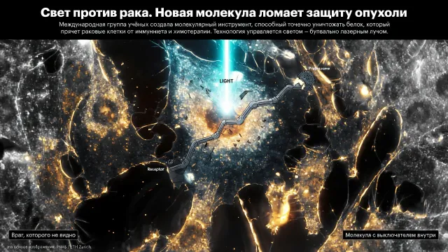 Свет против рака. Новая молекула ломает защиту опухоли